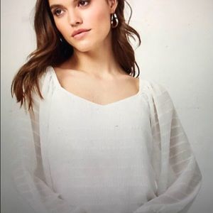 Le Chateau Sheer Top NWOT